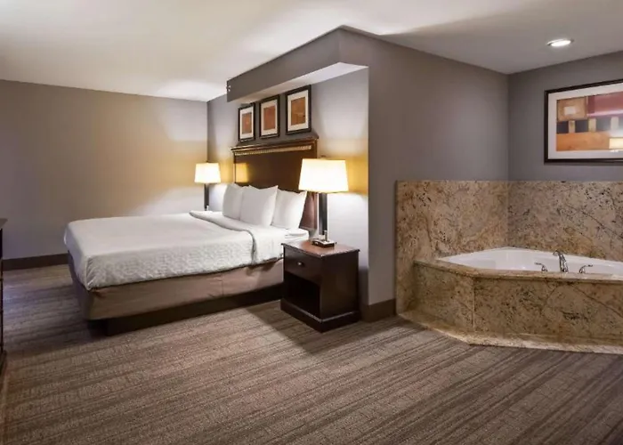 Western Chicago Southland Hotel 3*